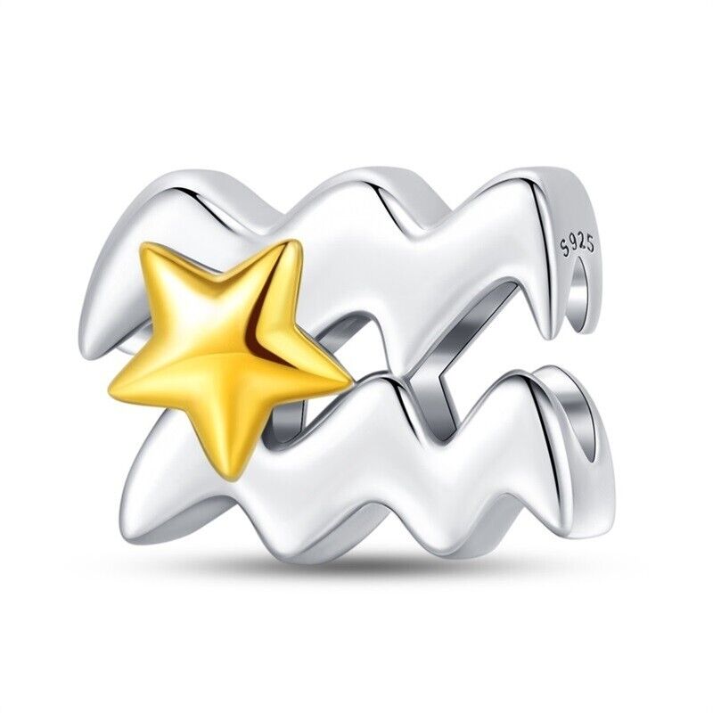 Aquarius Sign