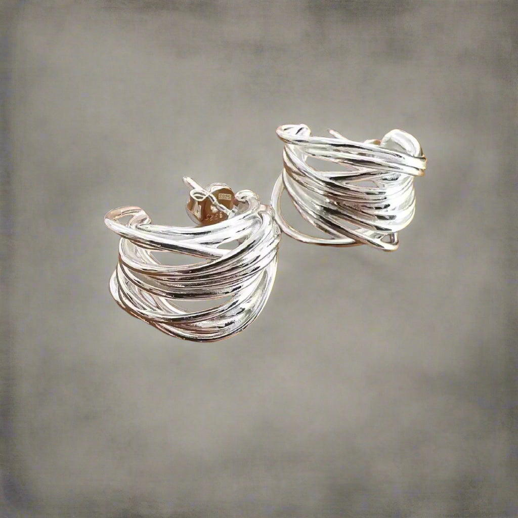 Chic Claw Hoop Earrings Twisted Silver Earrings