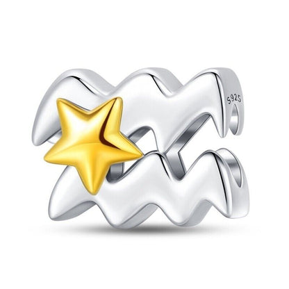 Aquarius Sign