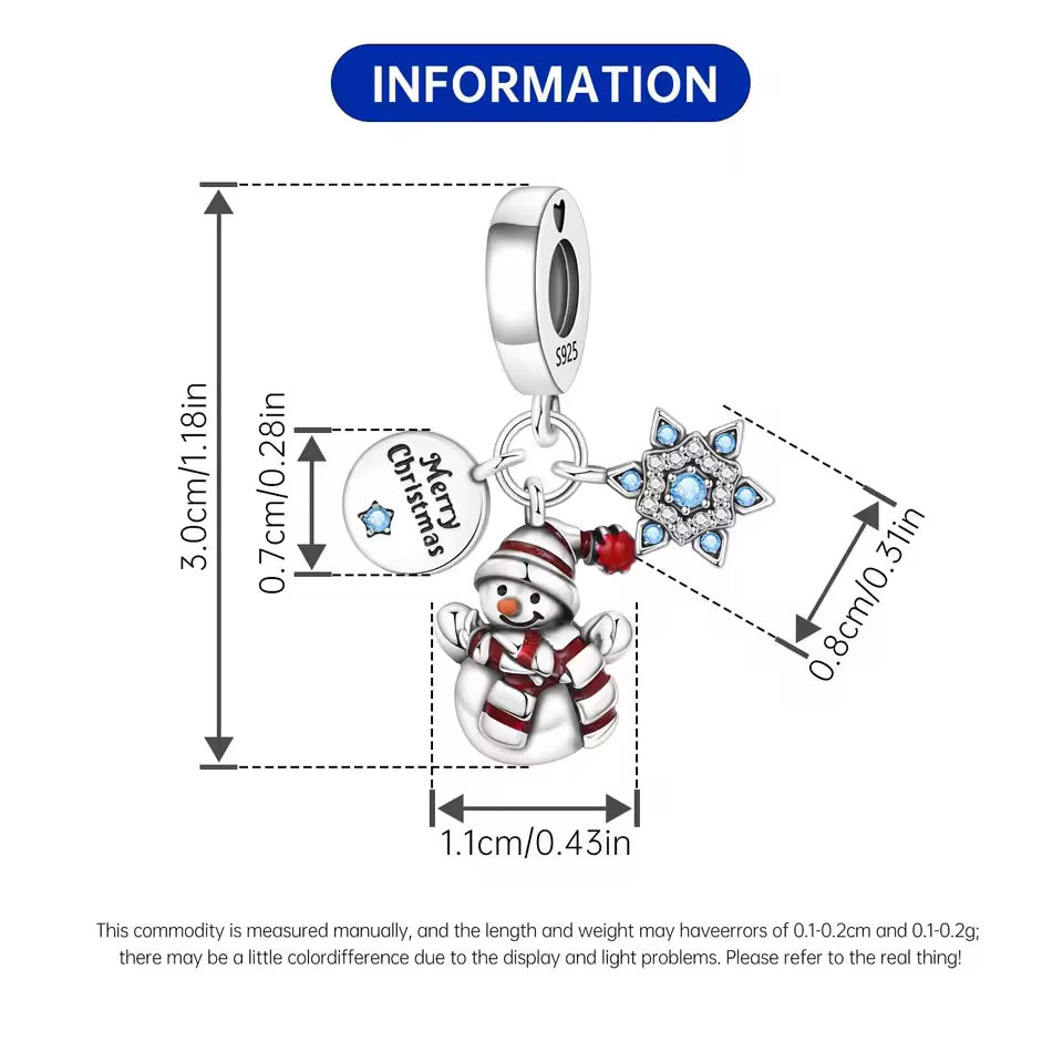 Snowflake Wishes Charm
