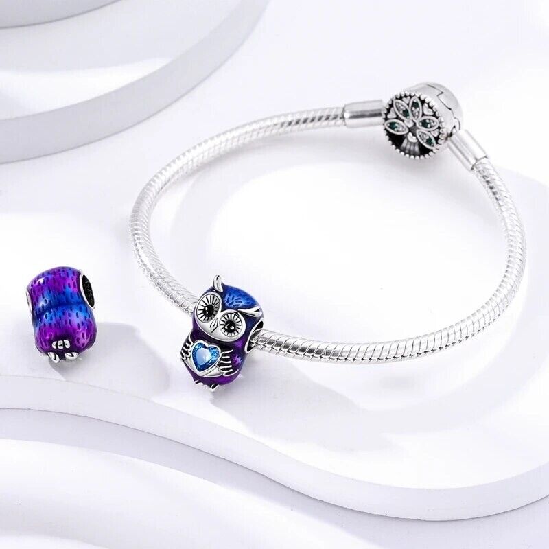Wise Owl Sweet whit Heart Charm - bellissi